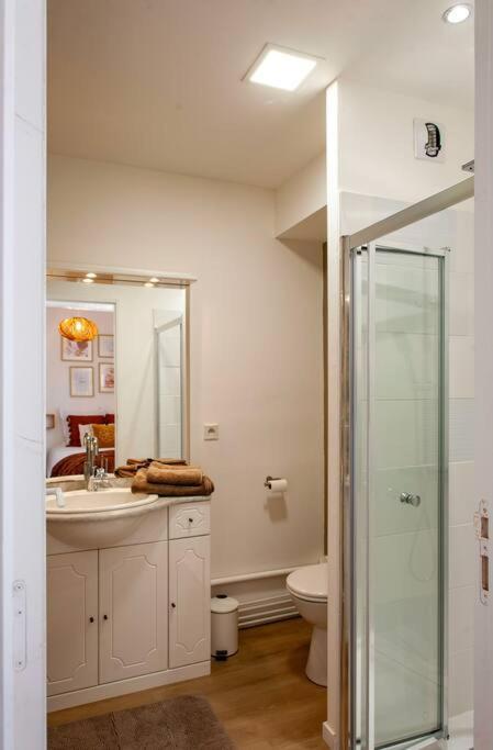 Le Cocoon - Appartement Dans Maison Du Xviieme Siecle Фужер Экстерьер фото